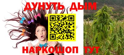 Альфа ПВП Ставрополь